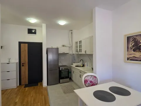 Izdavanje, jednosoban stan, 46m², Zabjelo, Podgorica - image 2