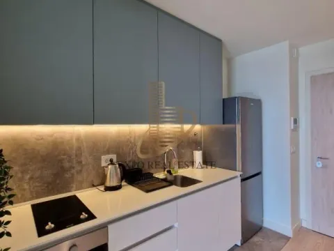 Izdavanje, jednosoban stan, 37m², Savski Venac, Beograd - image 7