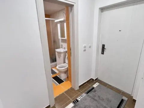 Izdavanje, dvosoban stan, 55m², Karaburma, Palilula Sve Podlokacije - image 18