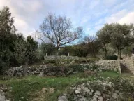 Prodaja, plac, 620m², Luštica, Herceg Novi - image 4