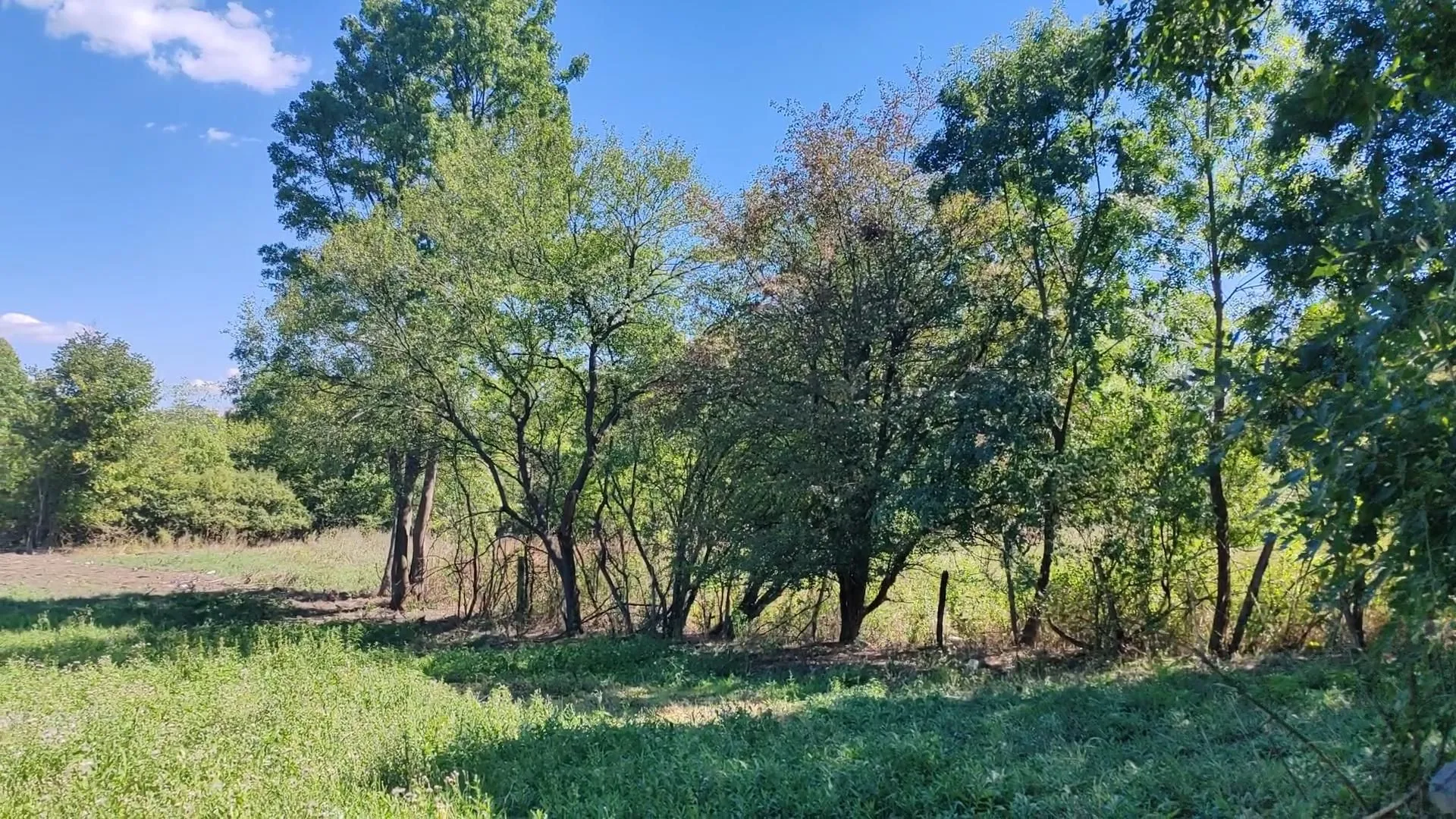 Prodaja, plac, 1581m², Veliki Borak, Barajevo