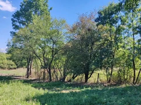 Prodaja, plac, 1581m², Veliki Borak, Barajevo - image 4