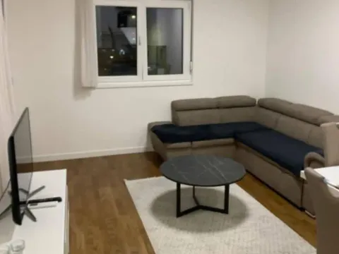 Izdavanje, jednosoban stan, 47m², Stari Aerodrom, Podgorica - image 3