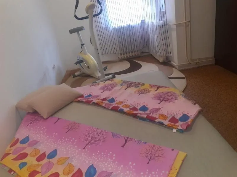 Sale, house, 280m², Telep, Novi Sad Sve Podlokacije