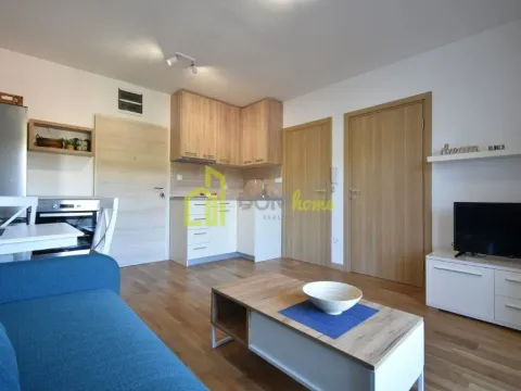 Izdavanje, jednosoban stan, 33m², Centar, Podgorica - image 2