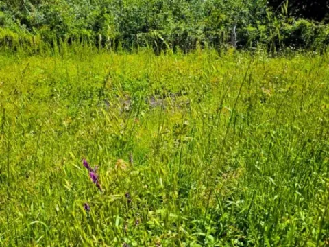 Prodaja, plac, 298m², Ulcinj, Crna Gora