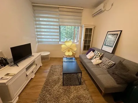 Izdavanje, garsonjera, 20m², Preko Morače, Podgorica