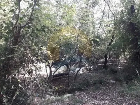 Sale, land lot, 15000m², Perast, Kotor - image 5