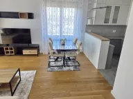 Izdavanje, dvosoban stan, 61m², Novi Beograd Sve Podlokacije, Beograd - image 5