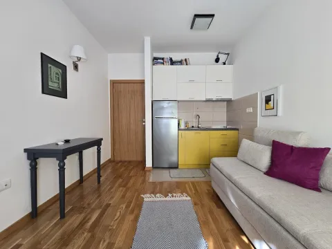 Manji svijetli dnevni boravak sa kuhinjom u nastavku i garniturom za sjedenje. - image 3