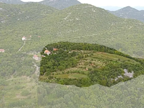 Prodaja, kuća, 200m², Drušići, Cetinje - image 3
