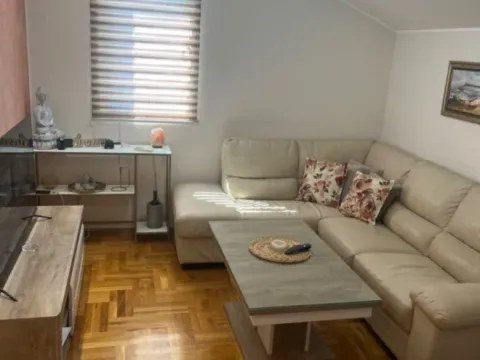 Rent, one bedroom apartment, 43m², Masline, Podgorica - image 2