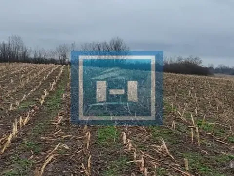 Sale, land lot, 132m², Dobrovodica, Batočina - image 8