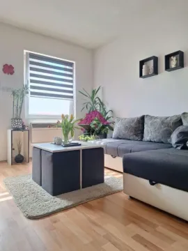 Sale, two bedroom apartment, 48m², Telep, Novi Sad Sve Podlokacije - image 2