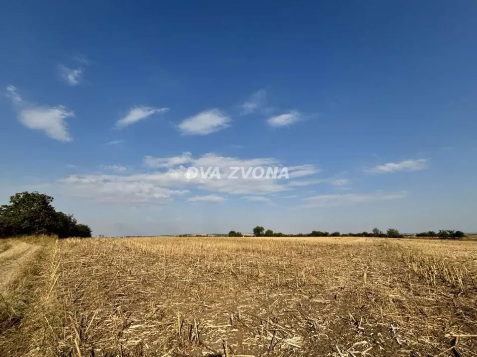 Prodaja, plac, 1100m², Čortanovci, Inđija