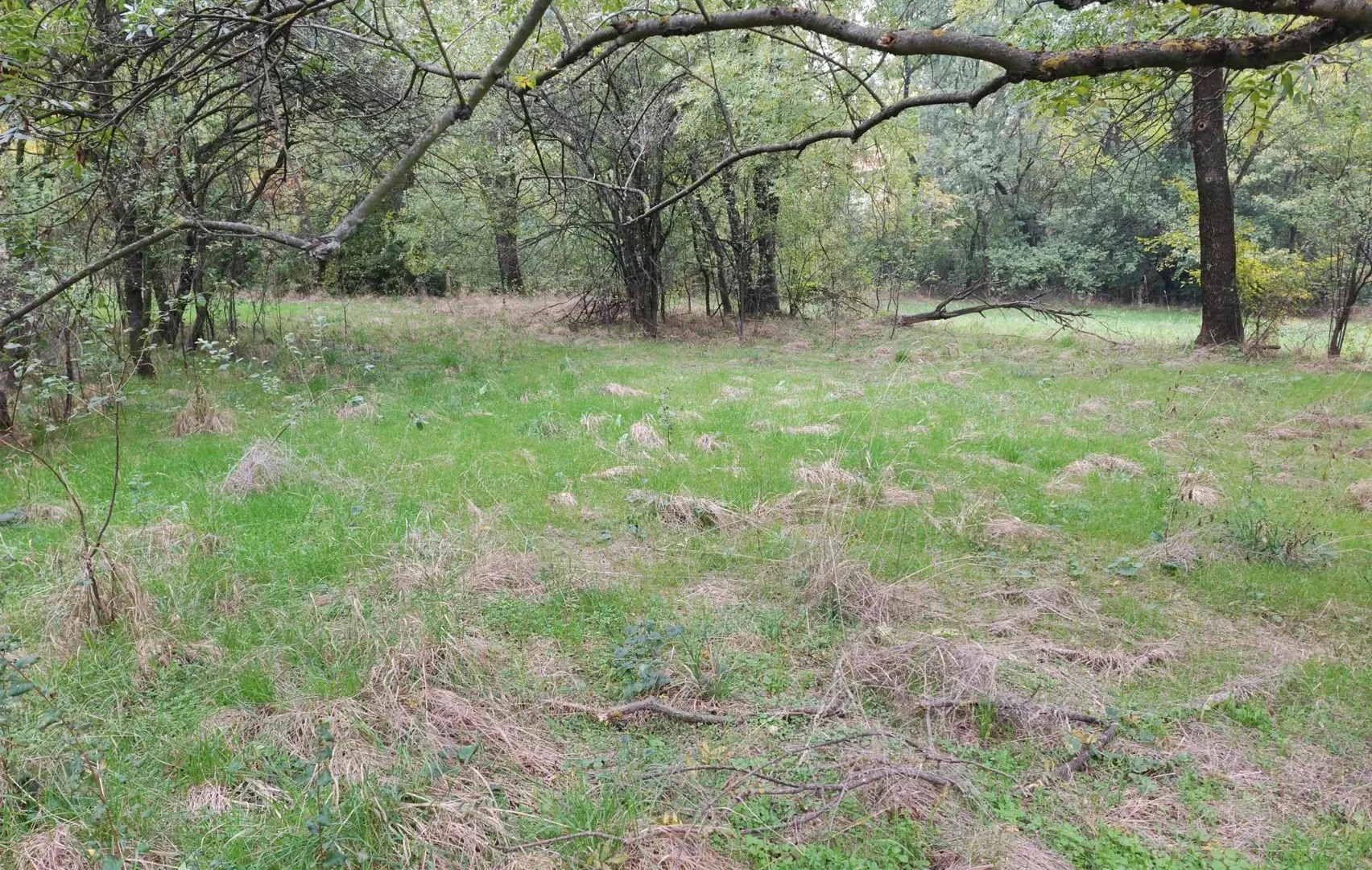 Sale, land lot, 33900m², Velika Ivanča, Mladenovac