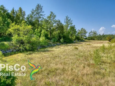 Prodaja, plac, Danilovgrad, Crna Gora - image 7