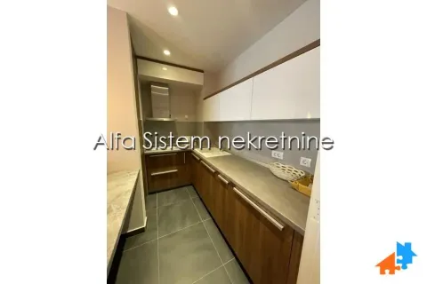 Rent, two bedroom apartment, 53m², Novi Beograd Blok 65, Novi Beograd Sve Podlokacije - image 3