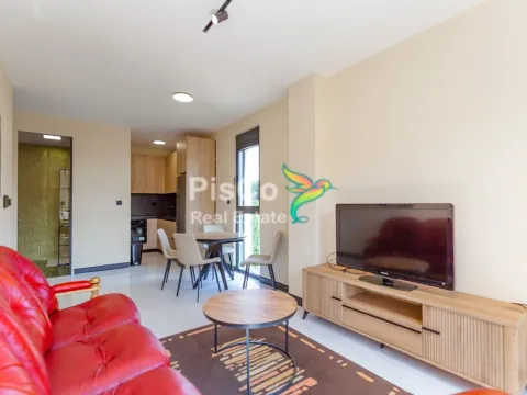 Izdavanje, jednosoban stan, 43m², Centar, Podgorica - image 7