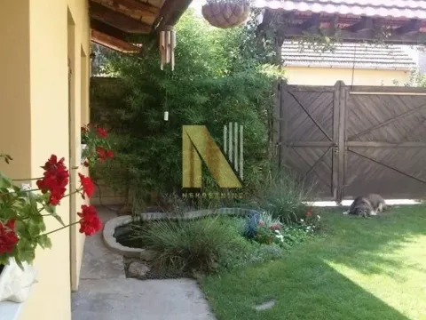 Sale, house, 240m², Salajka, Novi Sad Sve Podlokacije - image 9