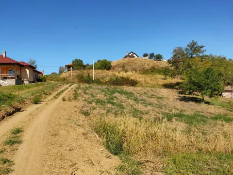 Sale, land lot, 700m², Sremska Kamenica, Petrovaradin - image 16