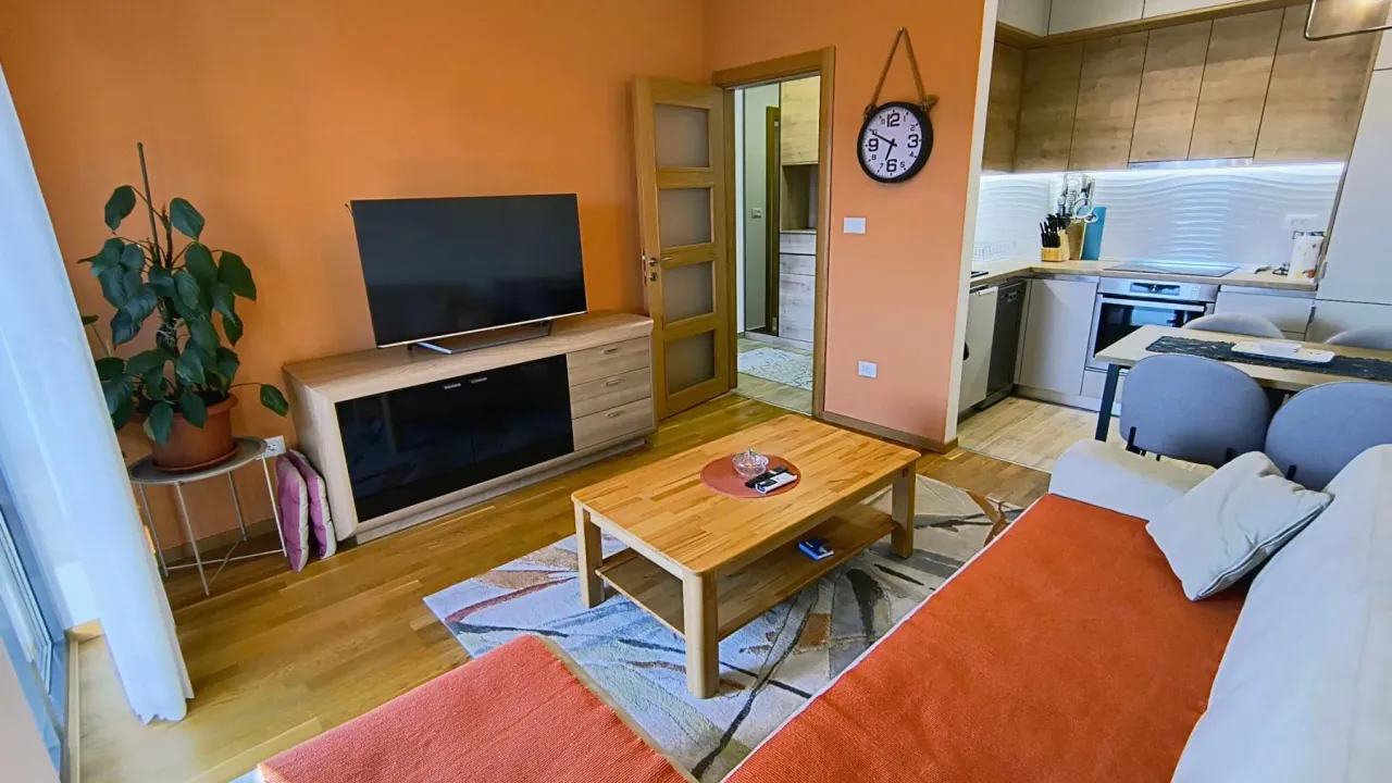 Izdavanje, jednosoban stan, 45m², Blok 9, Podgorica