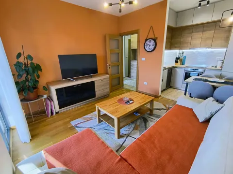 Izdavanje, jednosoban stan, 45m², Blok 9, Podgorica