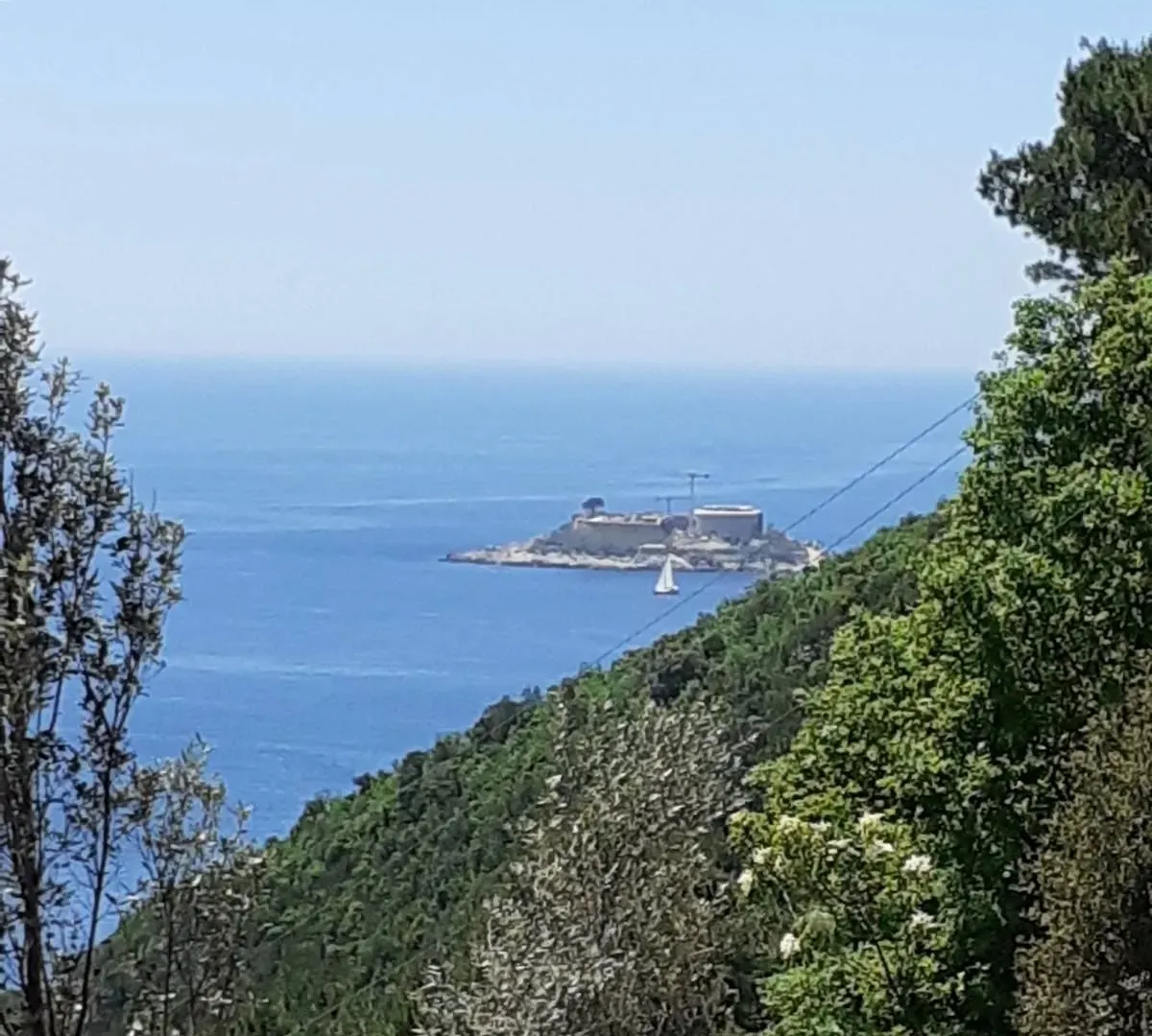 Prodaja, plac, 8000m², Herceg Novi, Crna Gora