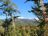 Sale, land lot, 89208m², Padež, Kolašin - image 1