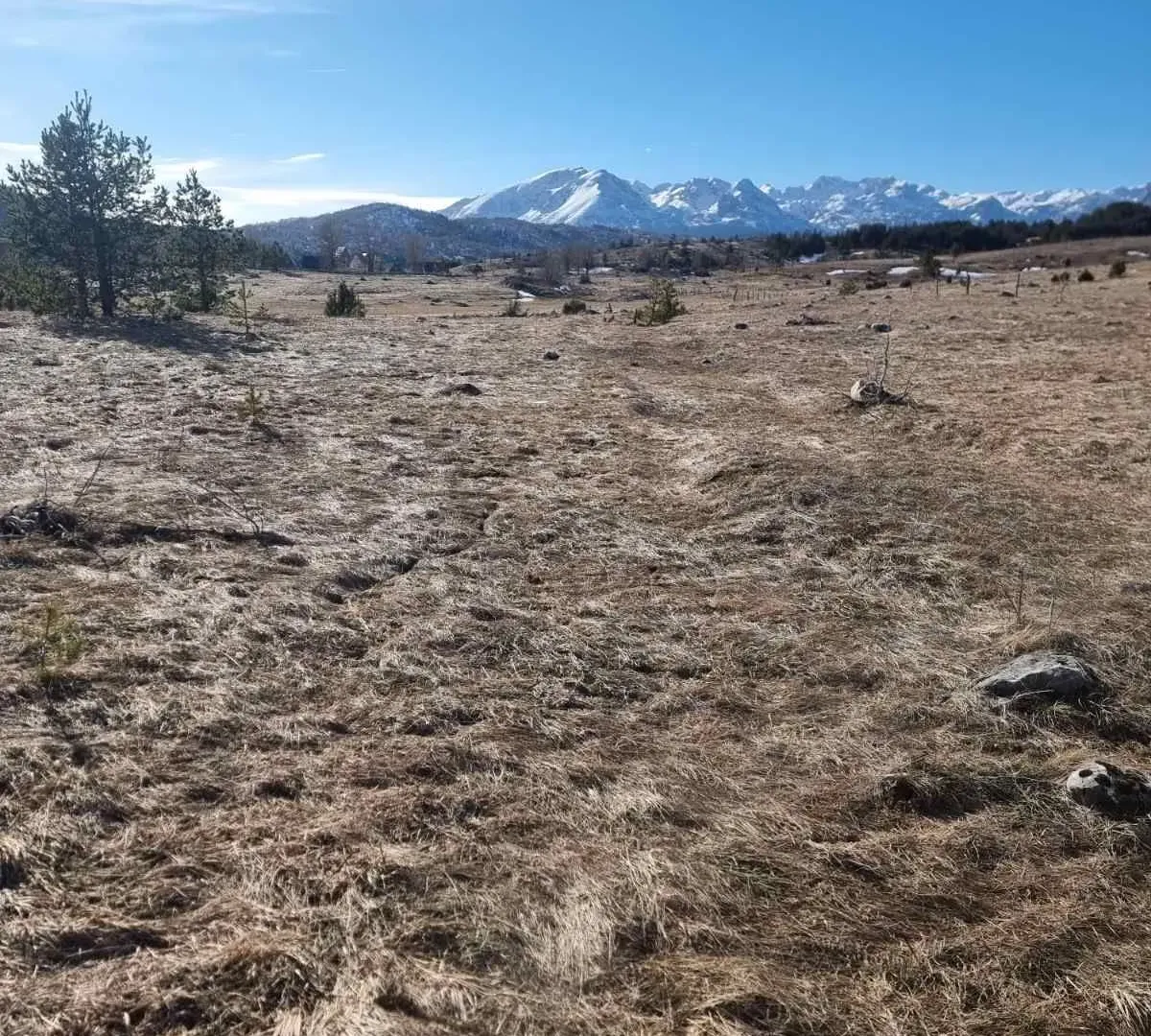 Prodaja, plac, 2200m², Žabljak, Crna Gora