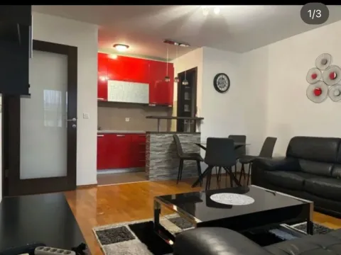 Izdavanje, jednosoban stan, 50m², Blok 9, Podgorica - image 4