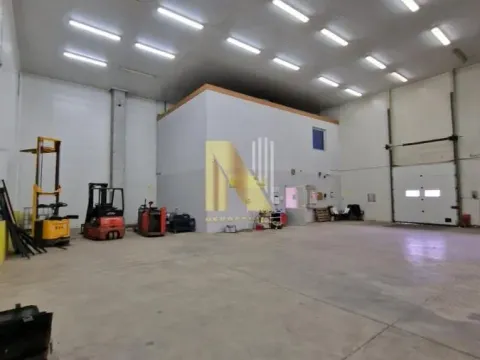 Rent, office space, 1200m², Čenej, Novi Sad Sve Podlokacije