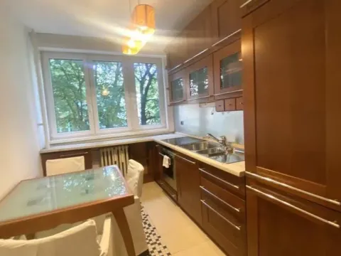 Izdavanje, dvosoban stan, 50m², Novi Beograd Sve Podlokacije, Beograd - image 10