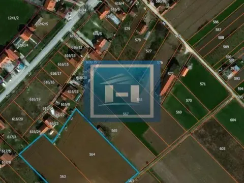 Prodaja, plac, 5000m², Trnava, Jagodina - image 3