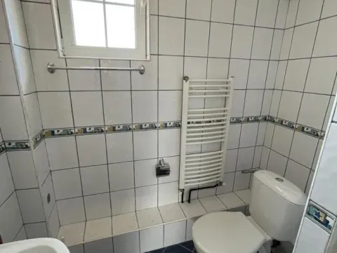 Prodaja, kuća, 400m², Centar, Jagodina - image 25