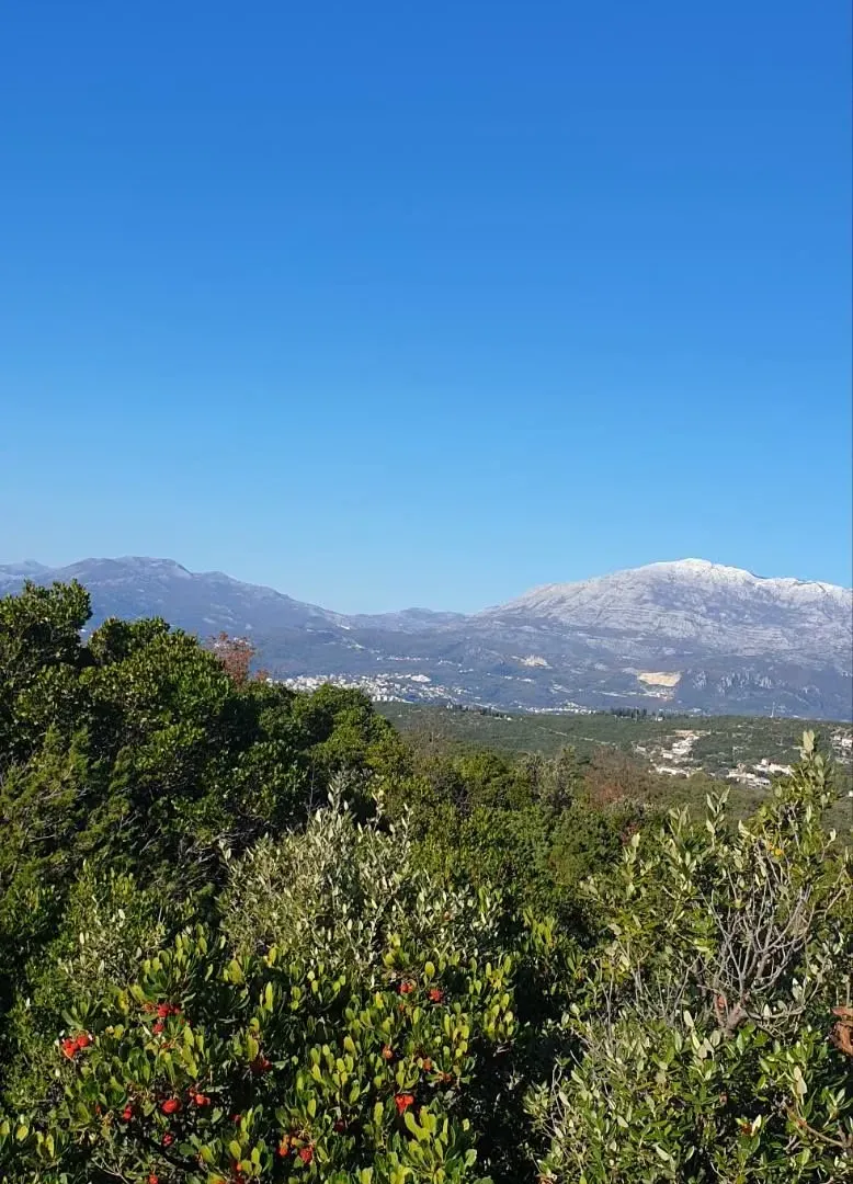 Prodaja, plac, 4150m², Herceg Novi, Crna Gora
