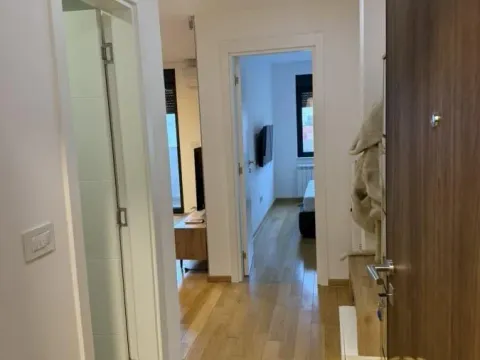 Izdavanje, dvosoban stan, 47m², Južni Bulevar, Vračar Sve Podlokacije - image 9