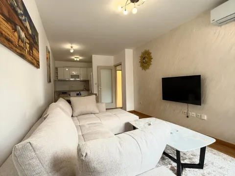 Rent, one bedroom apartment, 45m², Zagorič, Podgorica - image 2