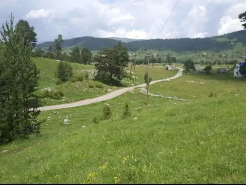 Prodaja, plac, 12000m², Žabljak, Crna Gora - image 6