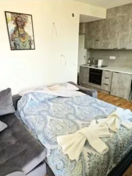 Izdavanje, garsonjera, 30m², Šušanj, Bar - image 5