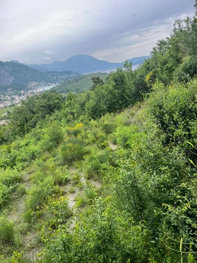 Pogled na zeleno zemljište sa rastinjem i okolnim pejzažem.