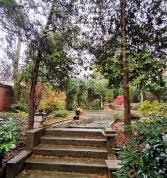 Izdavanje, kuća, 375m², Savski Venac, Beograd - image 19