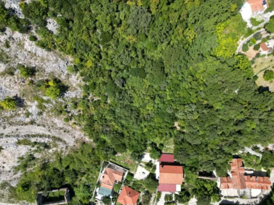Prodaja, plac, 7000m², Lipci, Kotor