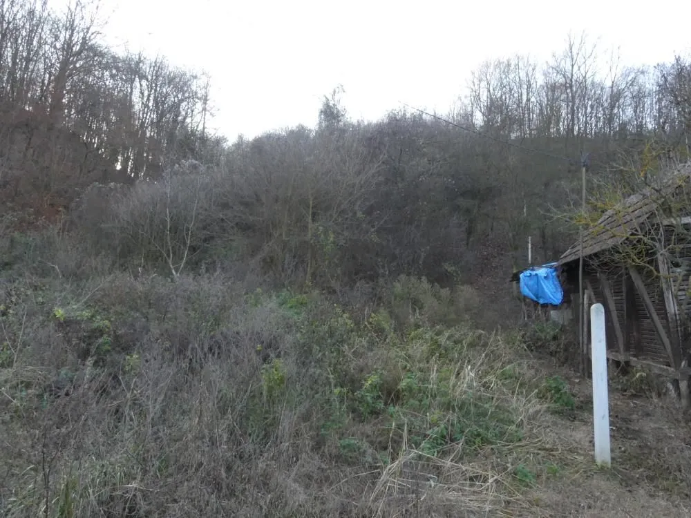 Prodaja, plac, 4599m², Novo Lanište, Jagodina