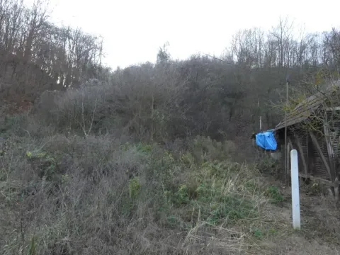 Sale, land lot, 4500m², Novo Lanište, Jagodina - image 2