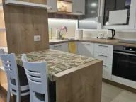 Izdavanje, jednosoban stan, 40m², Preko Morače, Podgorica - image 9