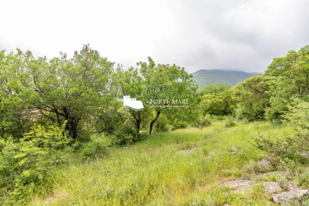 Prodaja, plac, 1803m², Zelenika, Herceg Novi