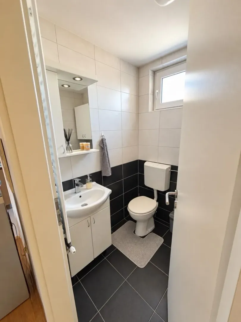 Manje kupatilo sa umivaonikom, ogledalom i wc šoljom.