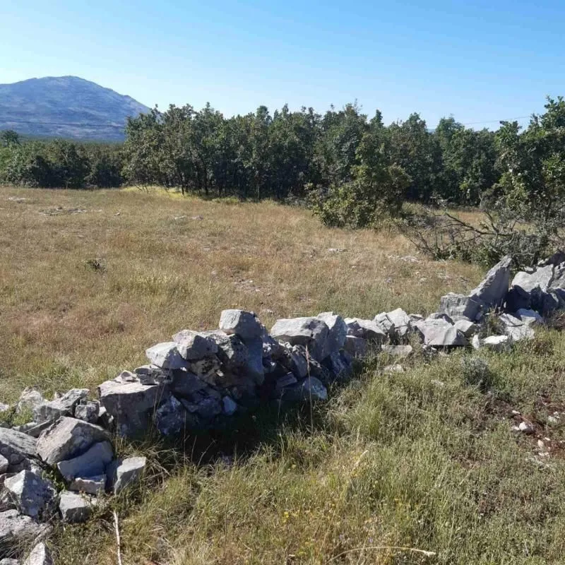 Prodaja, plac, 36000m², Nikšić, Crna Gora