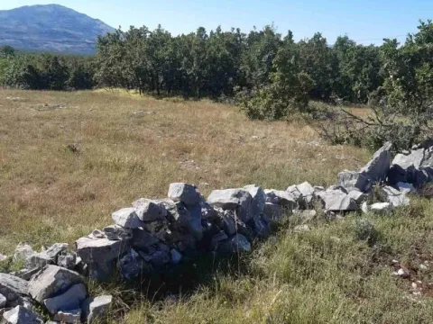 Prodaja, plac, 36000m², Nikšić, Crna Gora - image 3